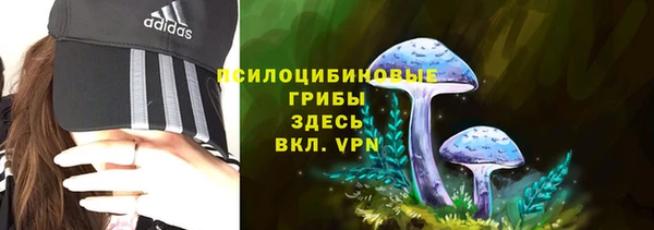 эйфоретик Алексин