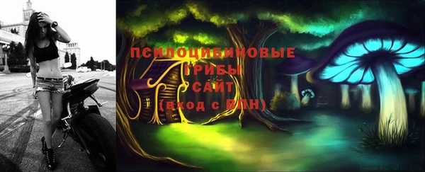 эйфоретик Алексин