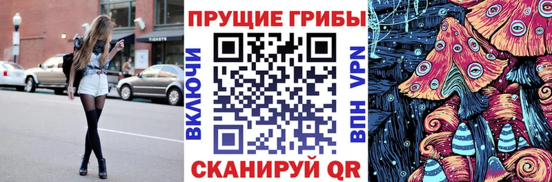 цены   Талица  Псилоцибиновые грибы GOLDEN TEACHER 